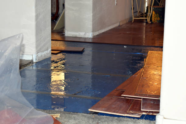 Professional Emergency Water Damage Restoration technician working in Mount Summit, IN